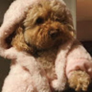 Meet your Posher, Annik